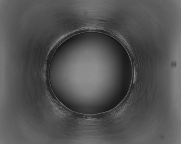 X0000091070387200708271220