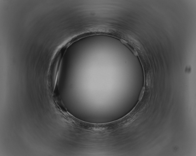 X0000091070388200708271220