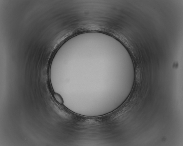 X0000091070390200708271220