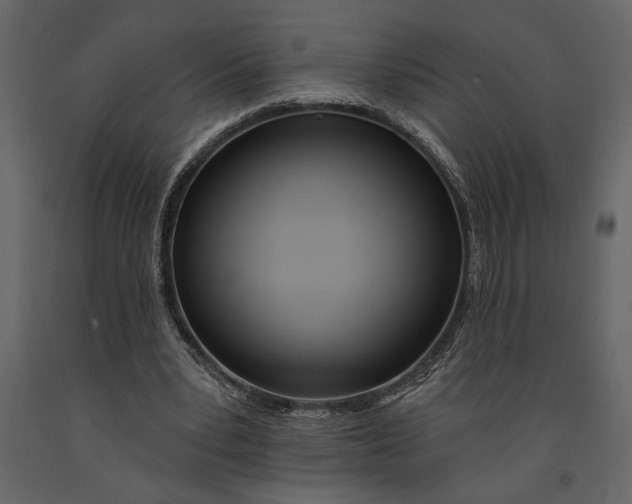 X0000091070391200708271220