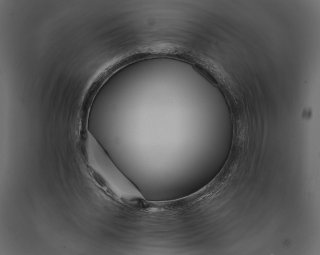 X0000091070392200708271220