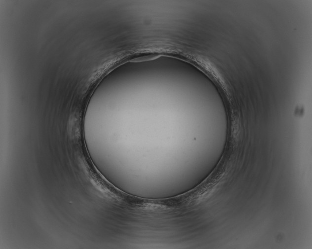 X0000091070393200708271220