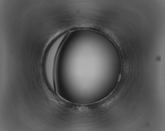 X0000091070395200708271220