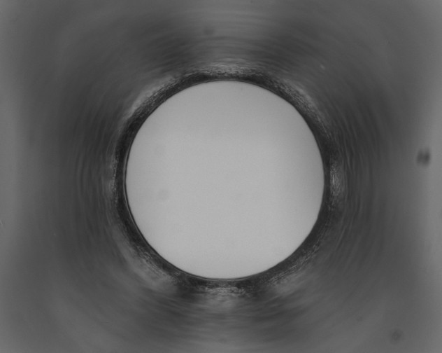 X0000091070396200708271220