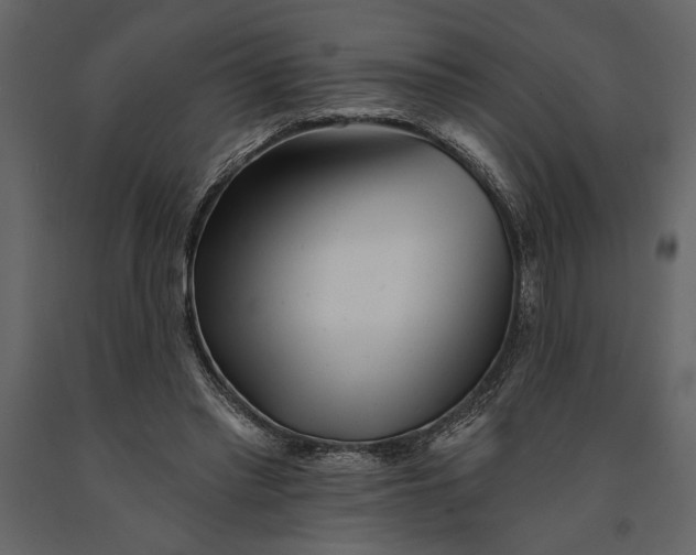 X0000091070397200708271220