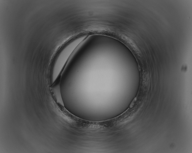 X0000091070399200708271220