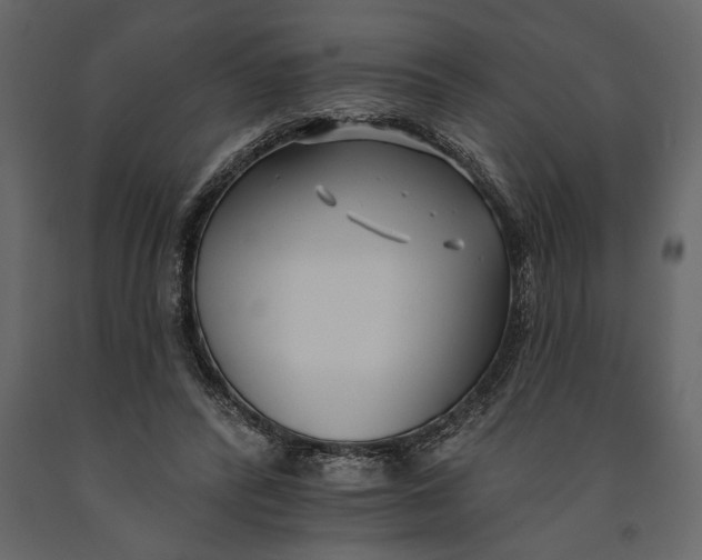 X0000091070400200708271220