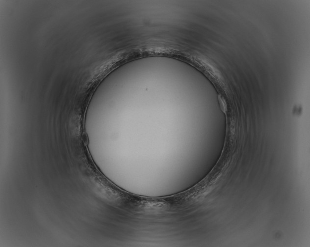 X0000091070401200708271220