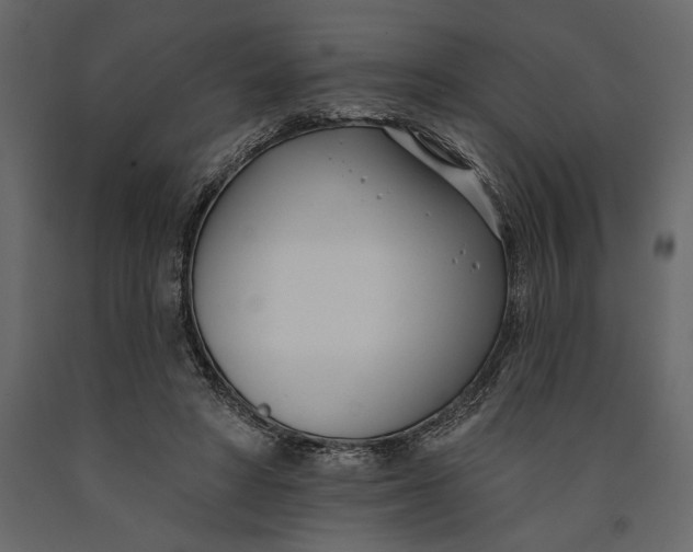 X0000091070402200708271220