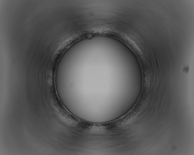 X0000091070403200708271220