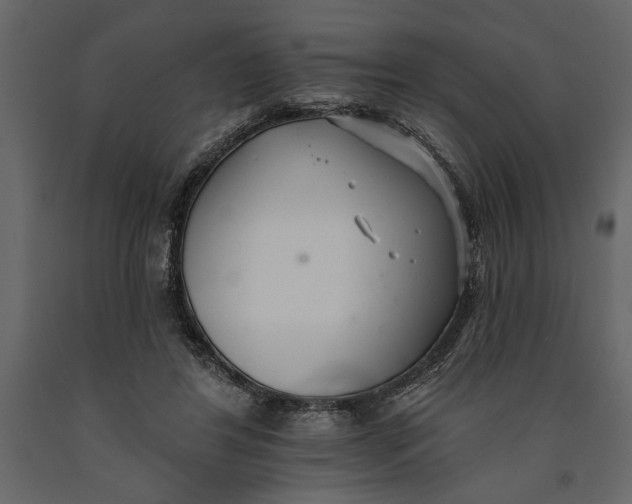 X0000091070404200708271220