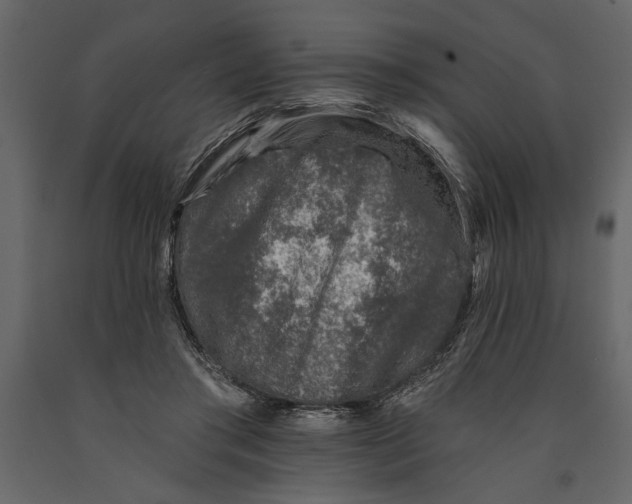 X0000091070405200708271220