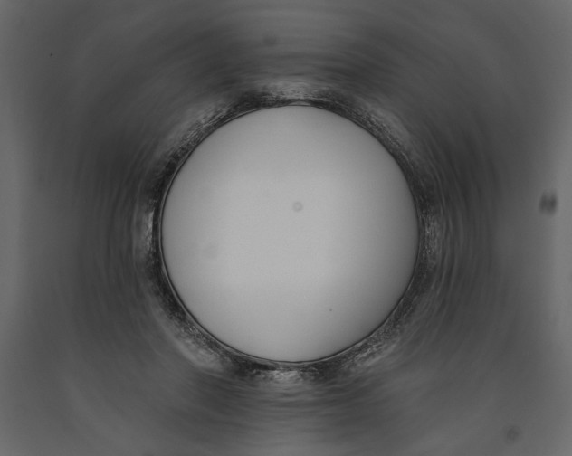 X0000091070406200708271220