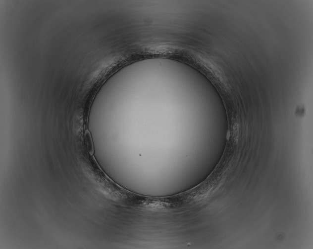 X0000091070407200708271220