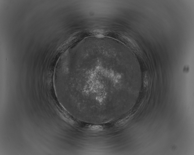 X0000091070409200708271220