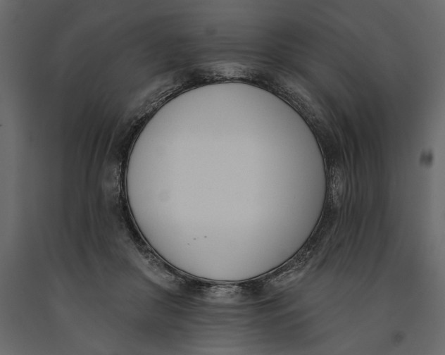 X0000091070410200708271220