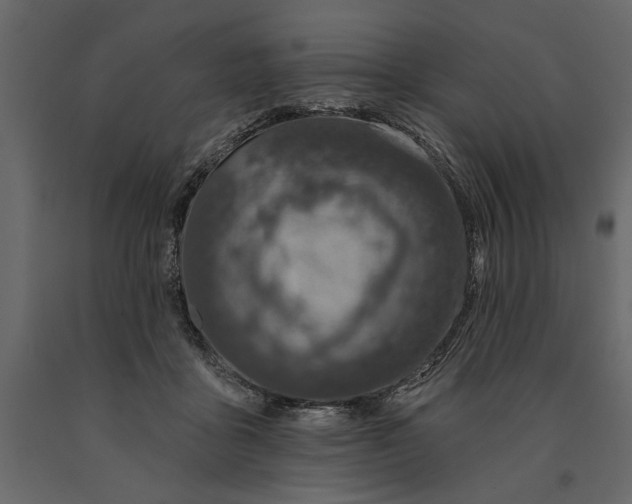 X0000091070411200708271220