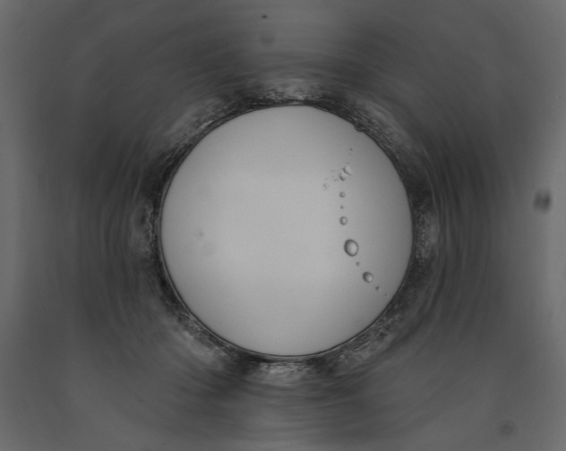 X0000091070414200708271220