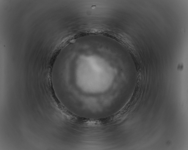 X0000091070415200708271220