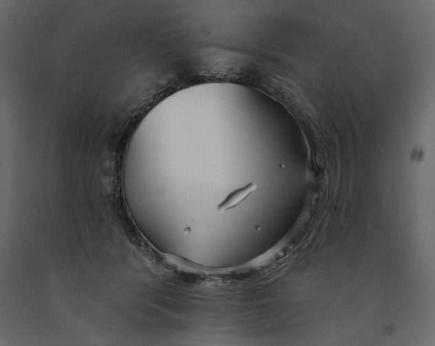 X0000091070416200708271220