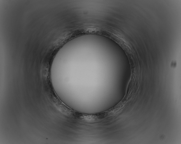 X0000091070417200708271220