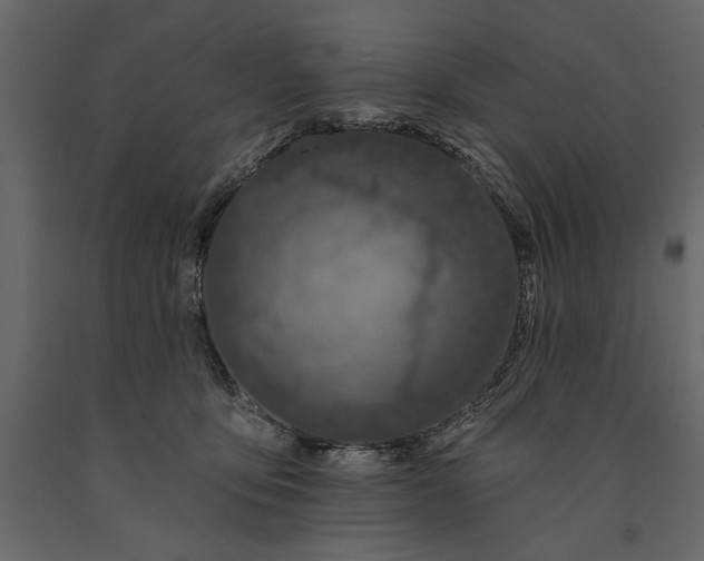 X0000091070419200708271220