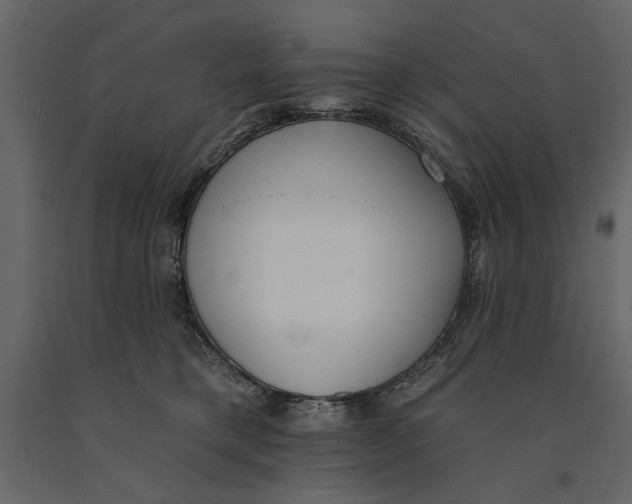 X0000091070421200708271220