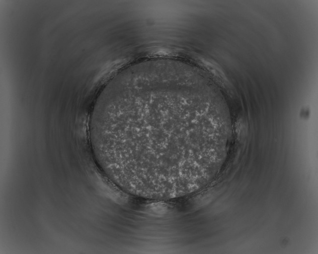 X0000091070423200708271220
