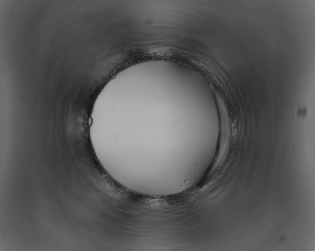 X0000091070424200708271219