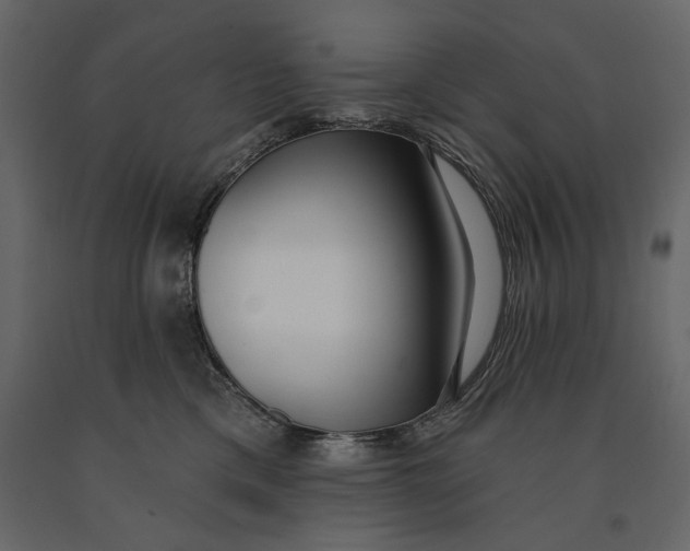 X0000091070425200708271219