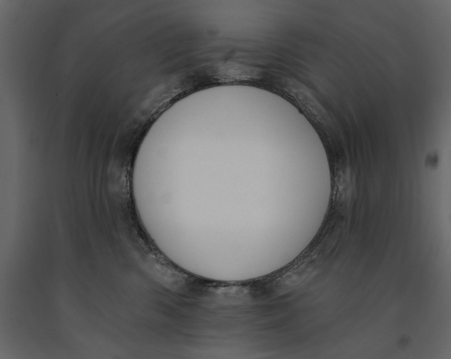 X0000091070426200708271219