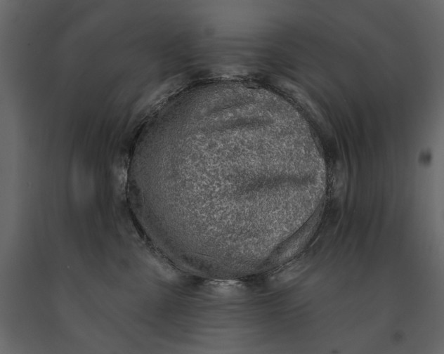 X0000091070427200708271219