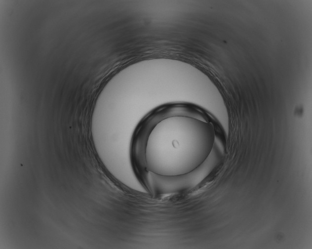 X0000091070428200708271219