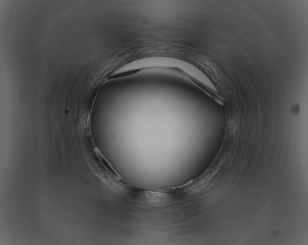X0000091070429200708271219