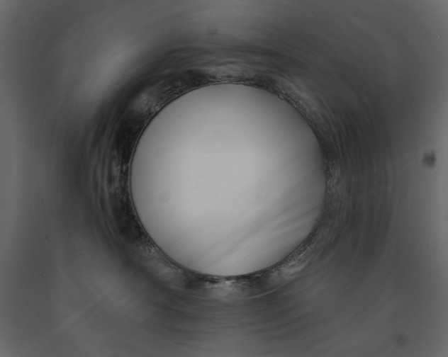 X0000091070430200708271219