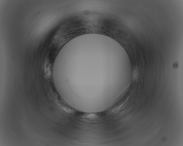 X0000091070431200708271219