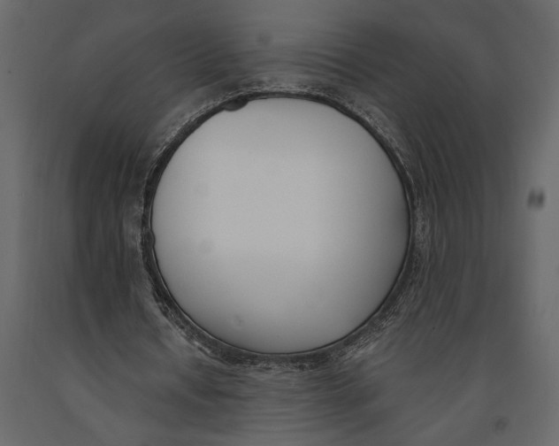 X0000091070434200708271219