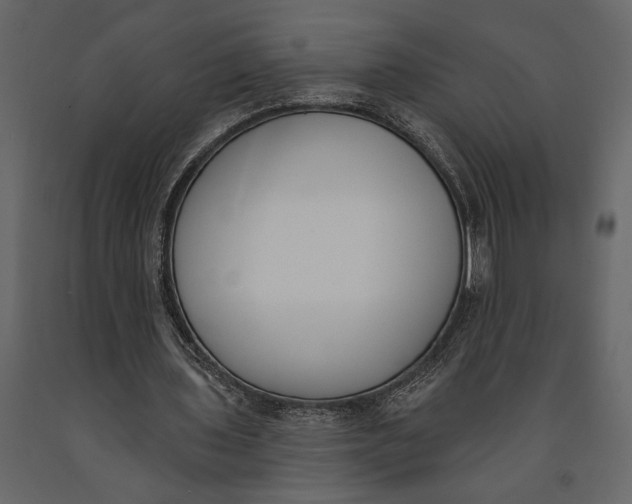 X0000091070435200708271219