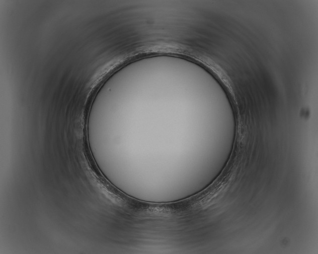 X0000091070437200708271219