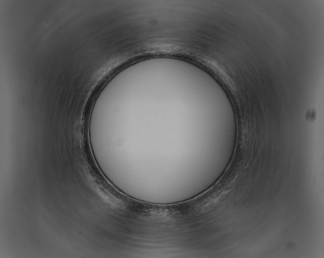 X0000091070439200708271219