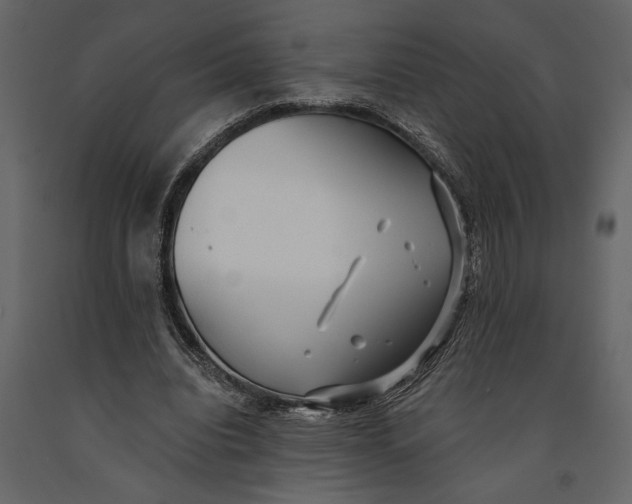 X0000091070440200708271219