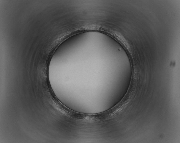 X0000091070441200708271219
