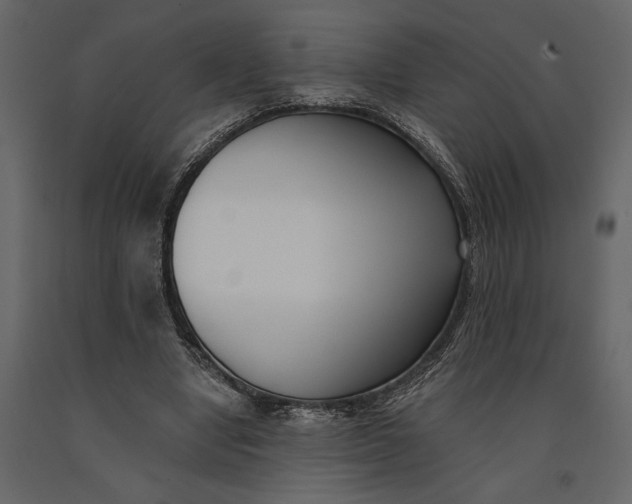 X0000091070442200708271219