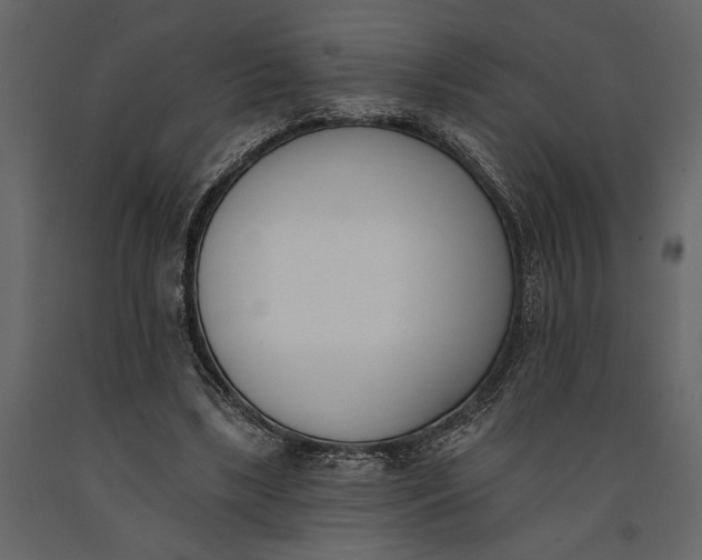 X0000091070443200708271219