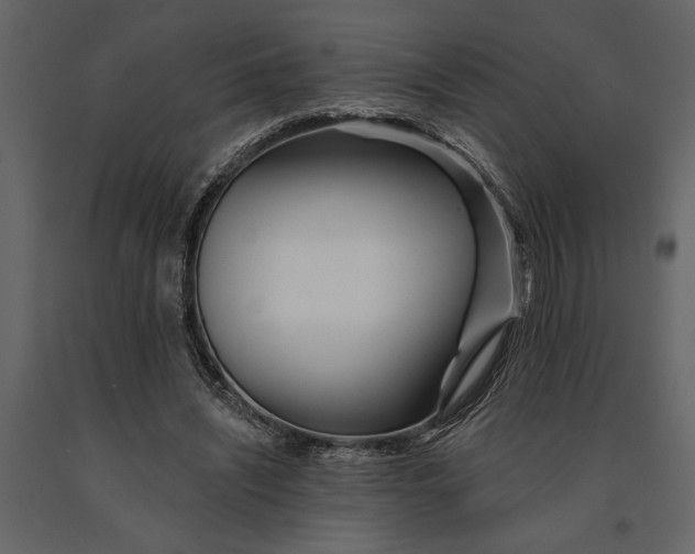X0000091070444200708271219