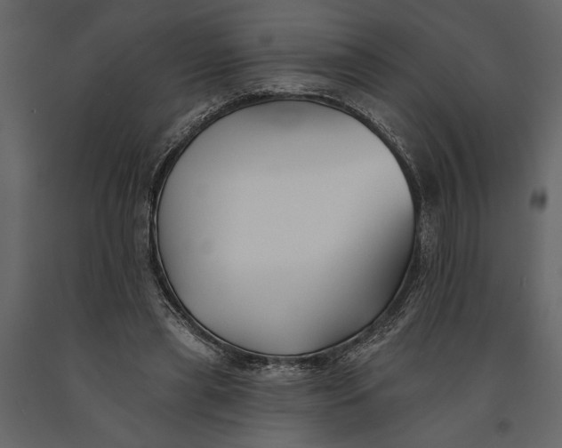X0000091070445200708271219
