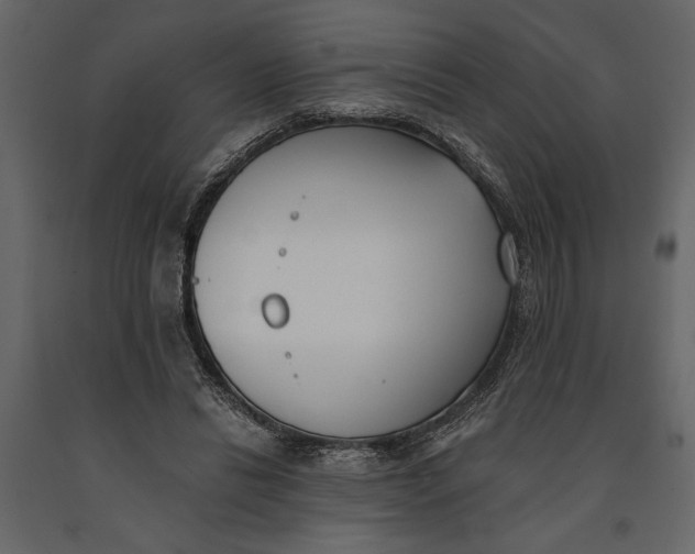 X0000091070446200708271219
