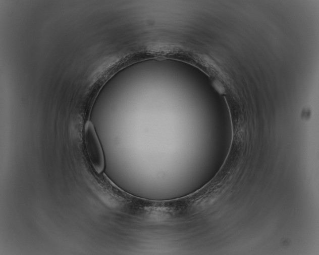 X0000091070448200708271219