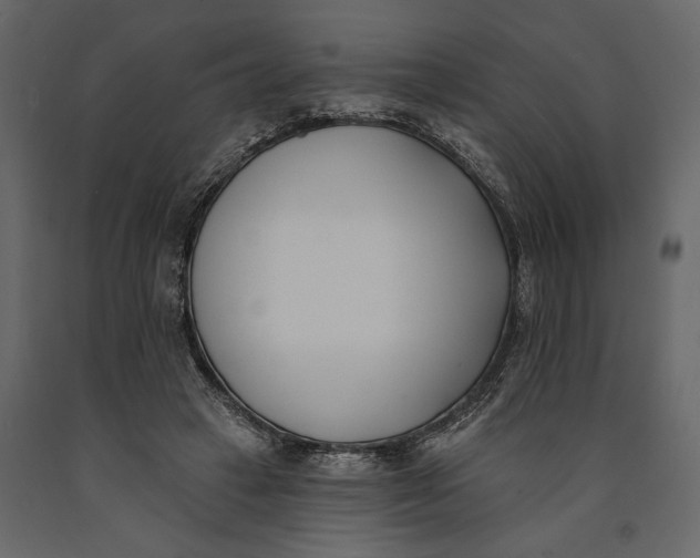 X0000091070449200708271219