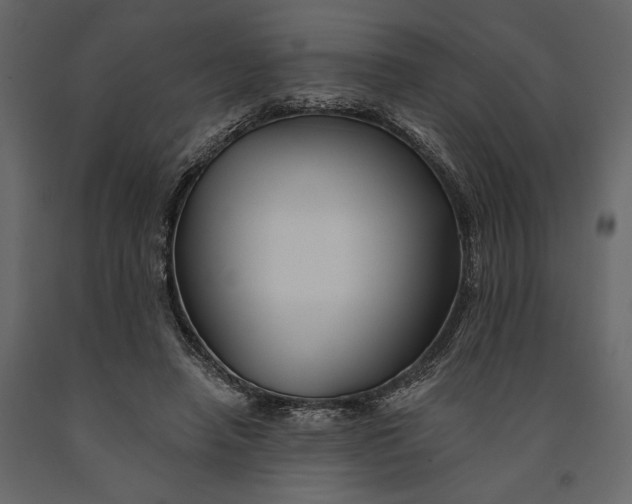 X0000091070450200708271219